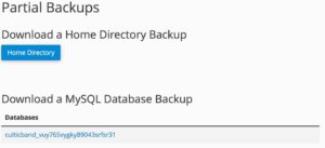directory-backup-for-your-website