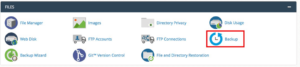 cpanel-with-website-backup-options