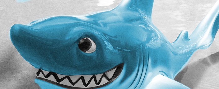 sales funnel is like a shark